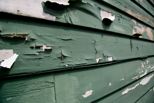 Best Custom Trim and Detailing for Siding  in Morrisville, NC