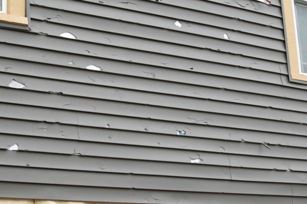 Best James Hardie Siding  in Morrisville, NC