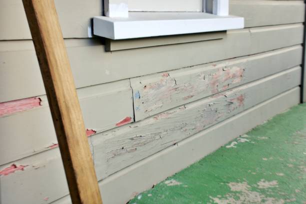 Best Historical Building Siding Restoration  in Morrisville, NC